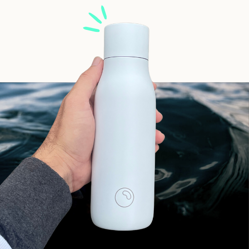 The Flo Company Vacuum Insulated Water Bottle